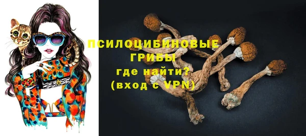гидра Гусев