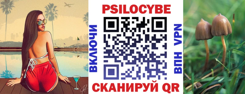 купить  сайты  Свободный  мега ссылка  Псилоцибиновые грибы Psilocybine cubensis 